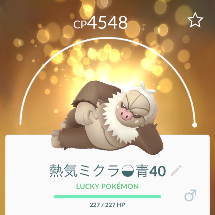 熱気ミクラ◒青40