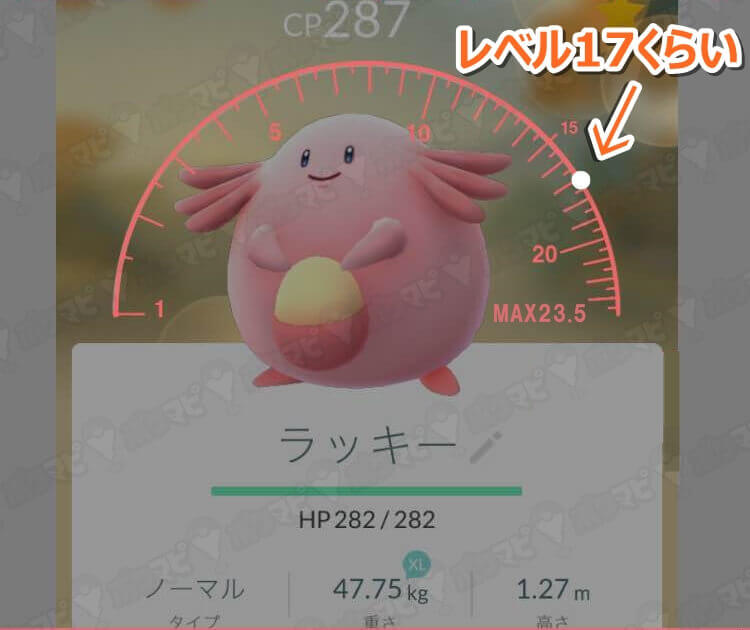 ラッキーのレベルは17と判明