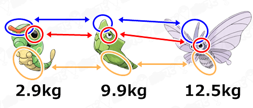ポケモンgo モルフォンとバタフリーの進化は逆だった コンパンがモルフォンに進化すると重さが何故か軽くなる謎