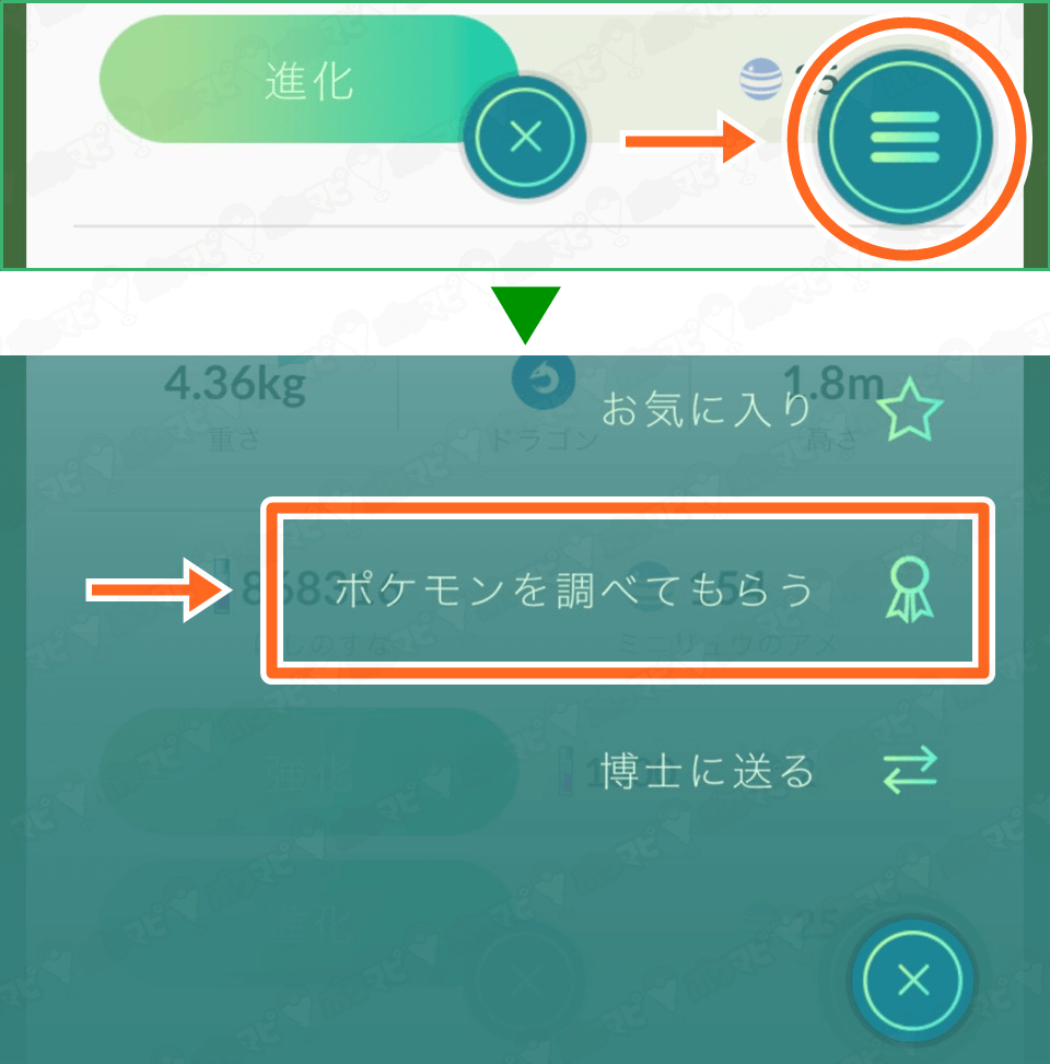 ポケモンgo ミニリュウをカイリューに進化させてみるよ ポケマピのツールを使いこなそう