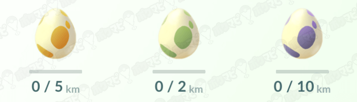 10 キロ 卵