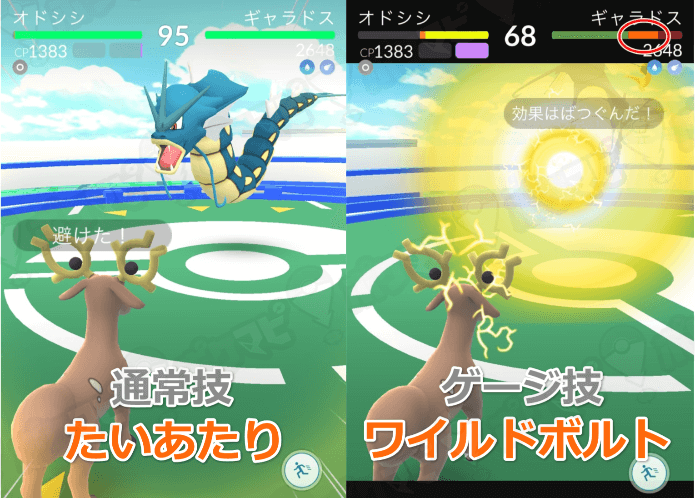 ポケモンgo 胃袋カイリューを継ぐ者たち たいあたり ふみつけ オドシシが使えるよ