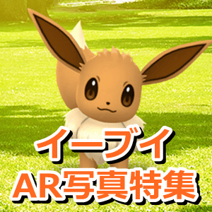 ポケモンGO】イーブイのAR写真まとめ！かわいいイーブイと一緒に写真を