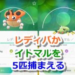 【ポケモンGO】レディバかイトマルを5匹捕まえるで出現するリワードポケモン