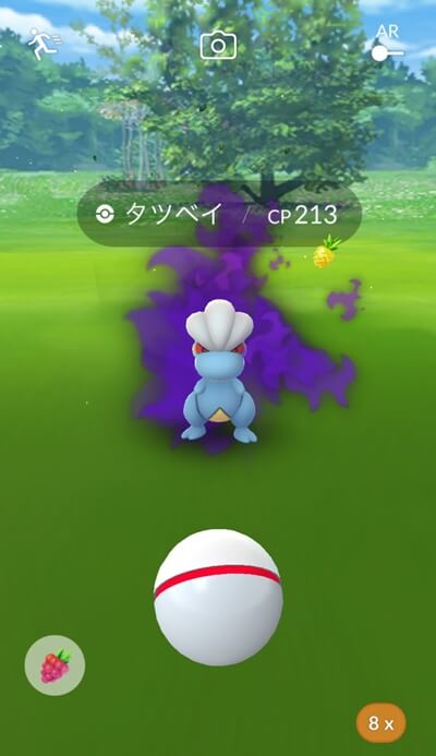 ポケモンgo Goロケット団リーダーのシャドウポケモンを2匹以上ゲットする裏技